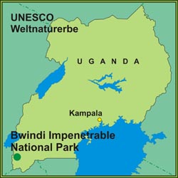 Bwindi Impenetrable National Park Ugandas UNESCO Weltnaturerbe